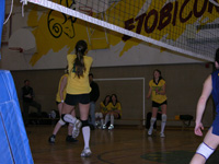 Sr. Girls Volleyball